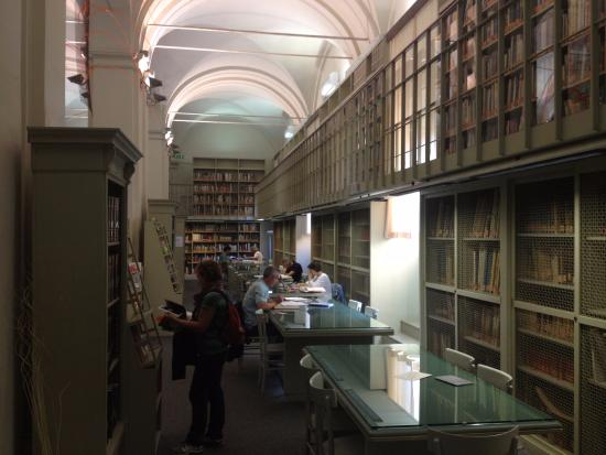  Biblioteca Poletti, visita guidata alla mostra ‘Farfalle’