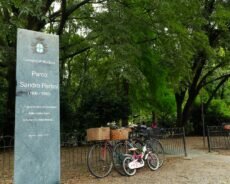 Si prepara l’estate in città, al via le proposte dei gestori