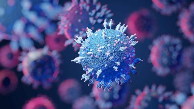  Identificata per la prima volta in Emilia-Romagna la sottovariante Omicron BA.5 del virus Sars Cov-2