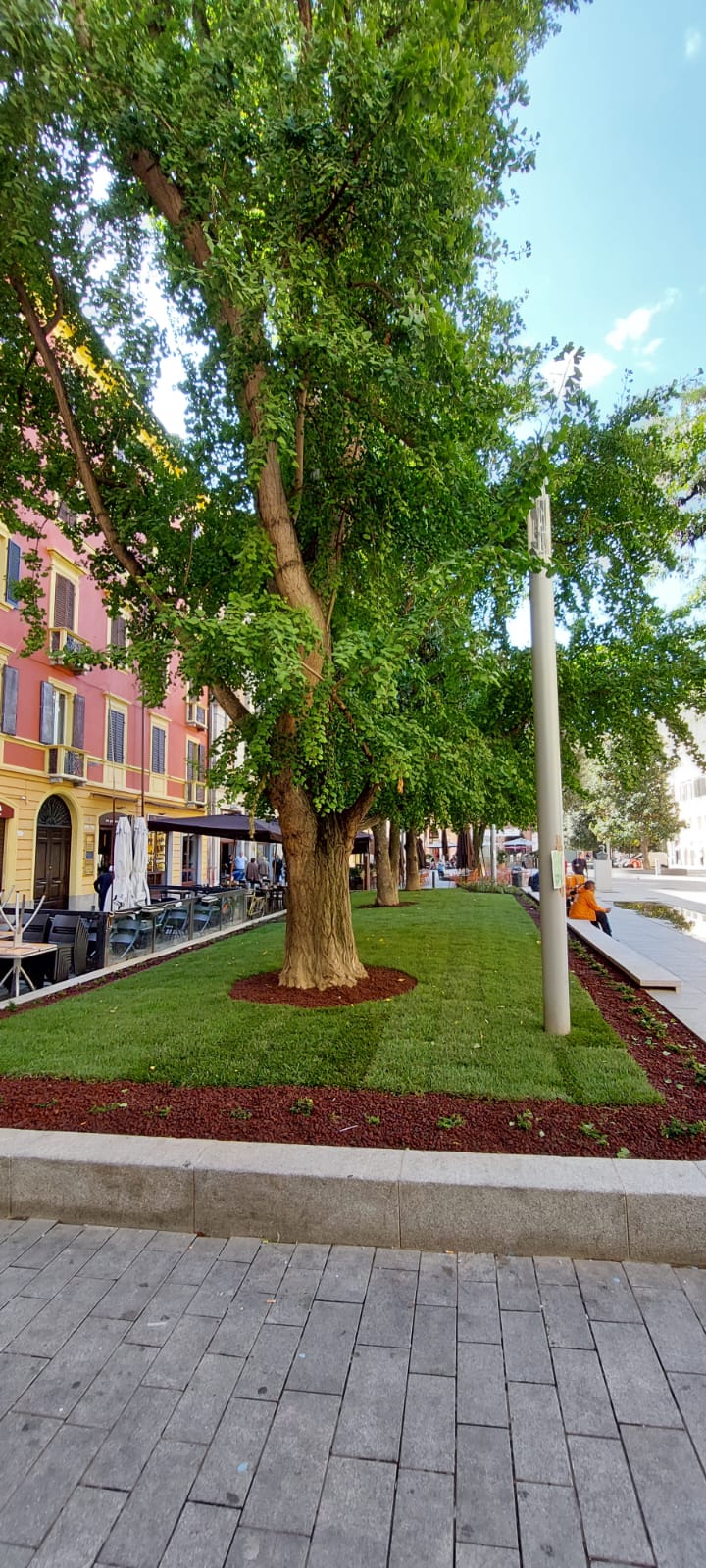  Piazza Mazzini più verde: erba, rose e siepi nelle aiuole