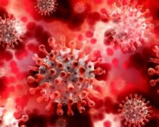 Coronavirus / In E.R. nuovi casi ancora sopra i 3000, 20 in terapia intensiva