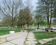 Al Parco Amendola si piantumano 70 nuovi alberi