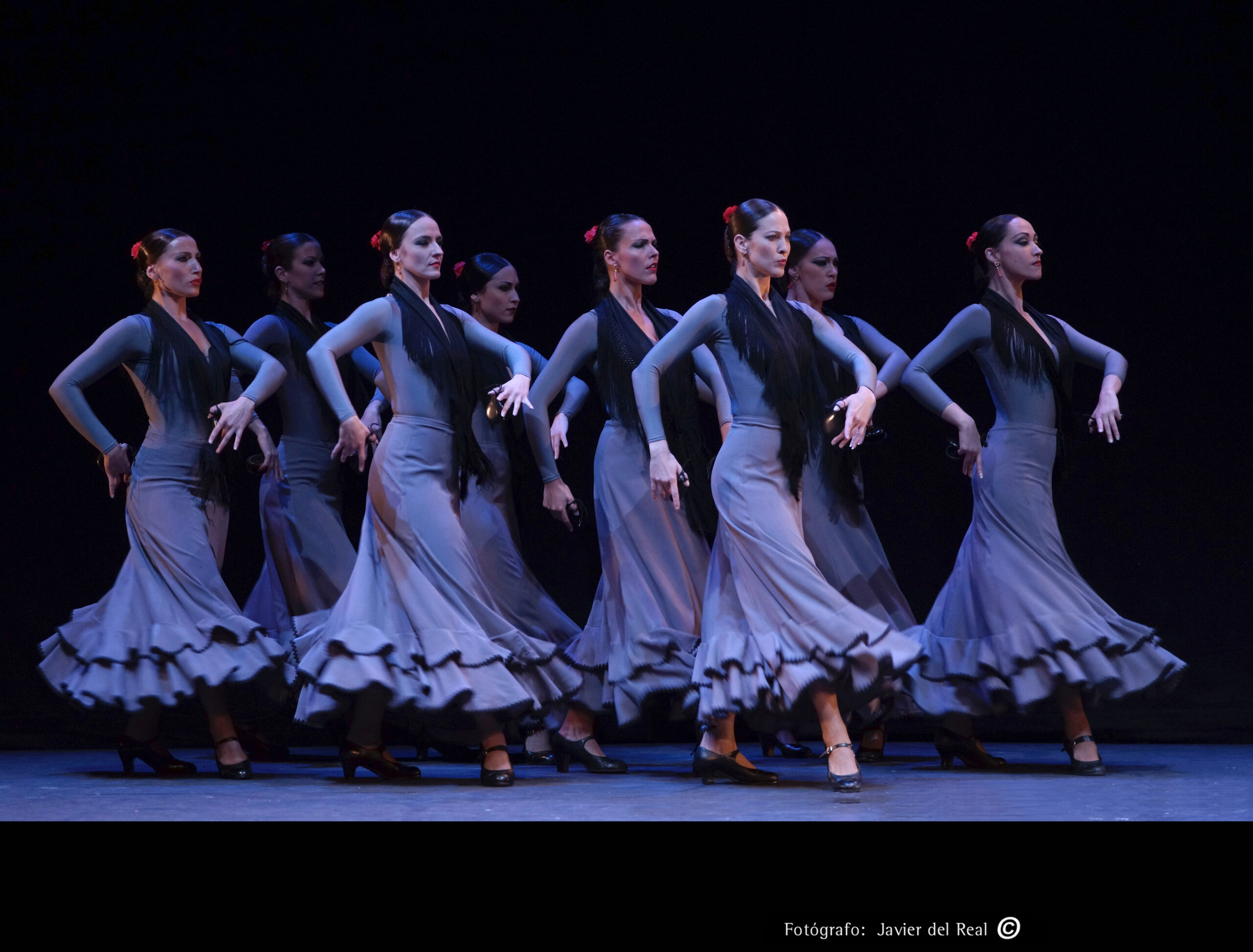  ModenaDanza: il Flamenco di Antonio Gades