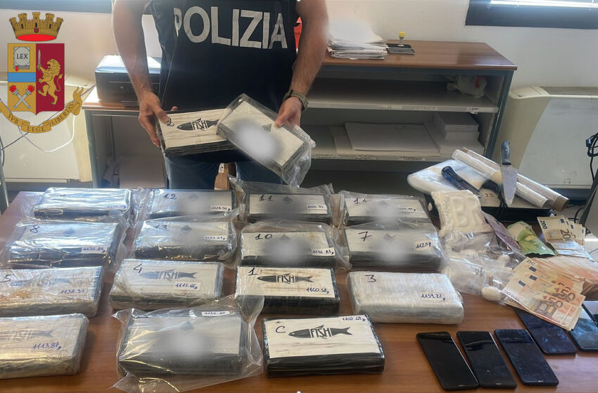  Maxi operazione antidroga della Polizia, sequestrati 19 chili di cocaina