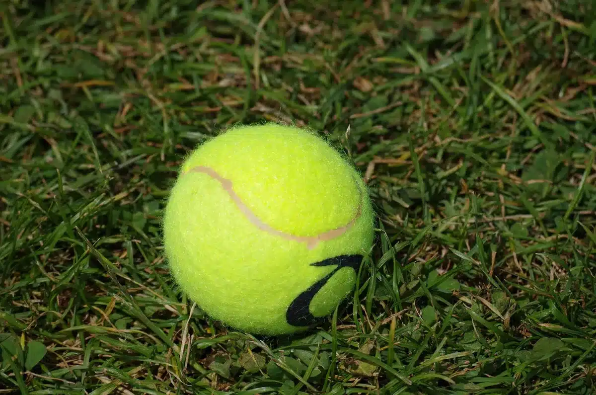 Tifosi anonimi in curva che applaudono e cantano durante una partita di tennis