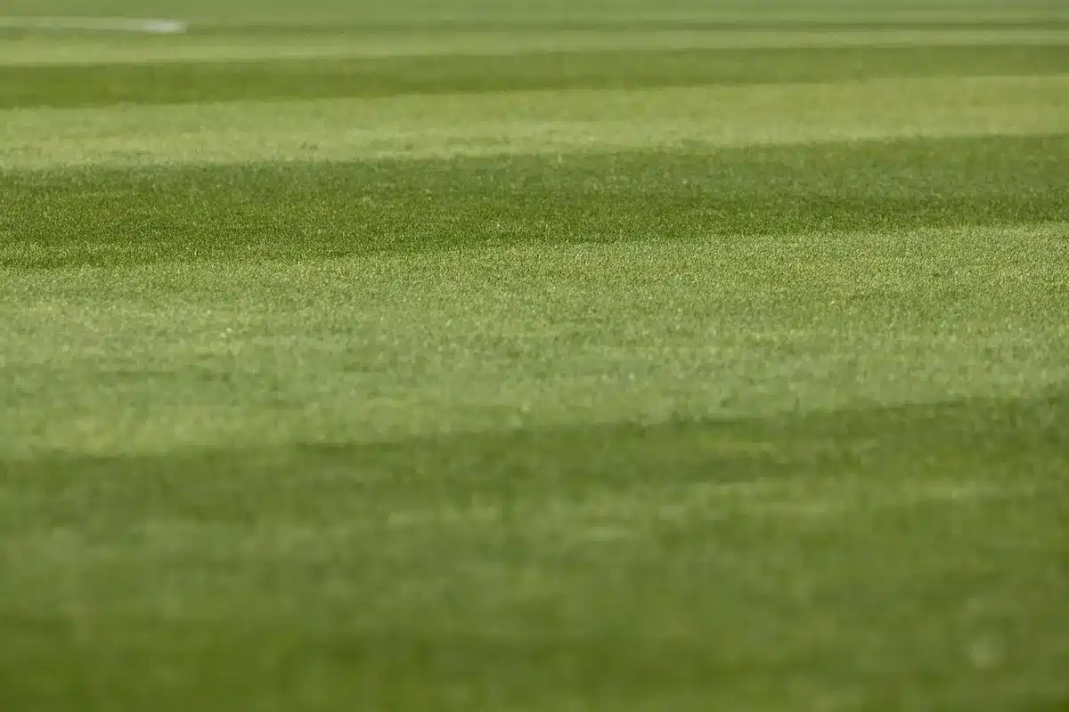 Kayode anonimo entra in campo mostrando determinazione mentre la partita prosegue