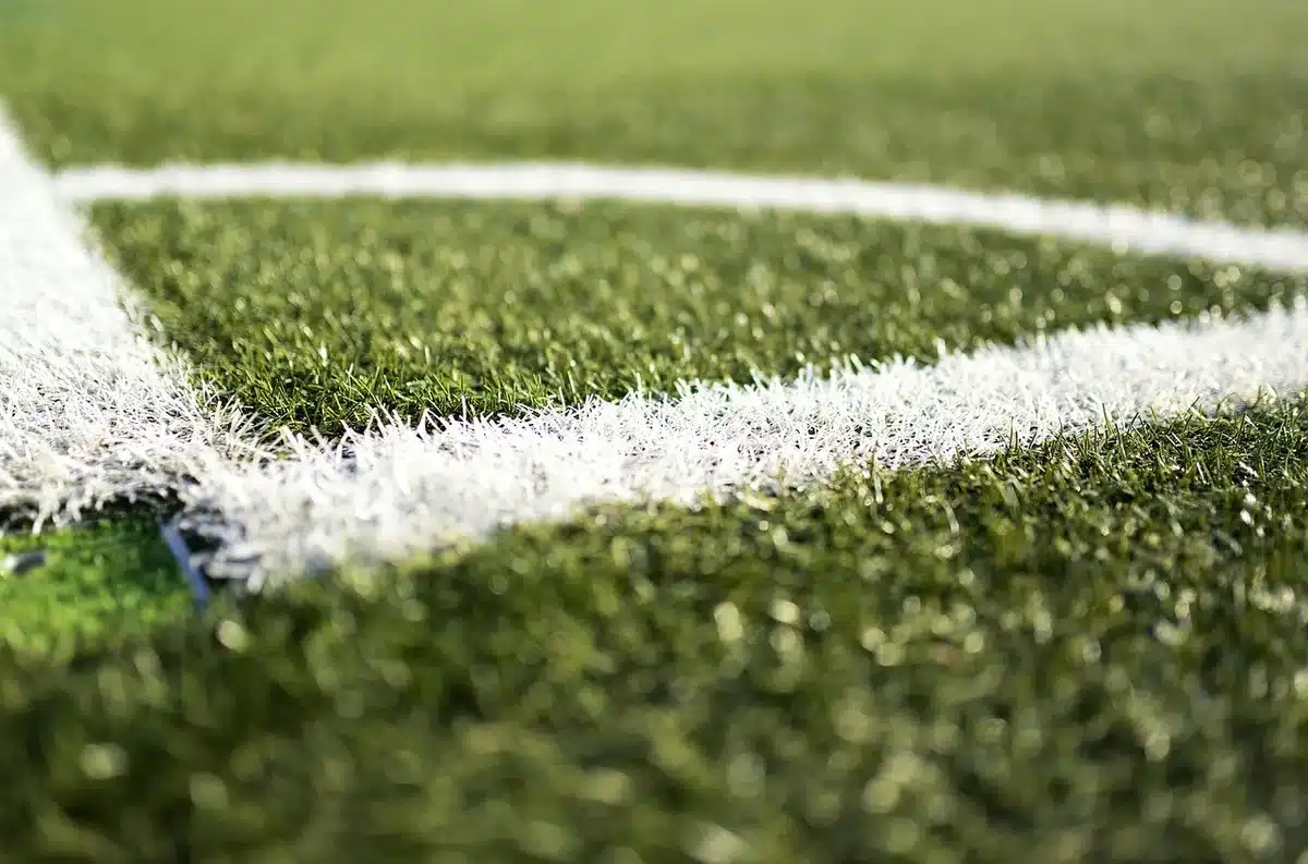 Giocatore che esulta dopo un gol in uno stadio affollato
